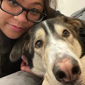 Meet your Posher, Faustine